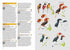 Birds of the Philippines - Desmond Allen 2020 Flexi
